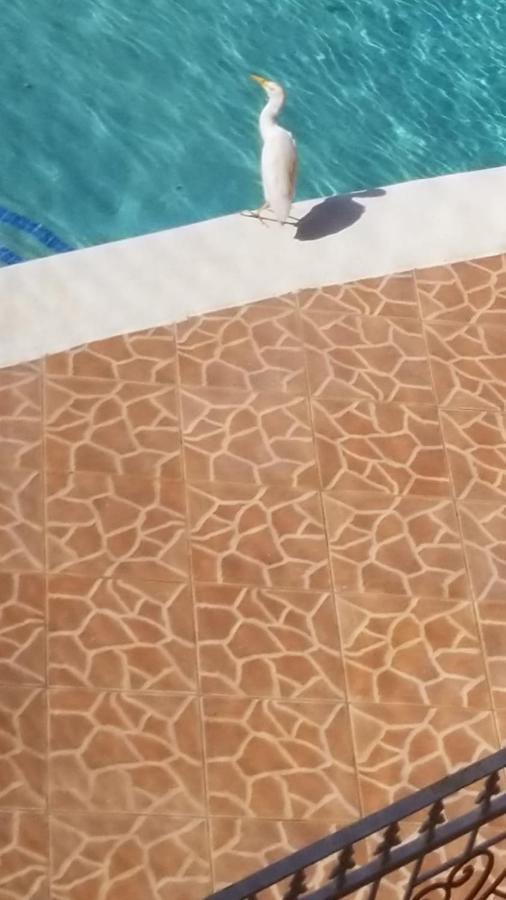 Chaudhry Holiday House Монтего Бей Екстериор снимка